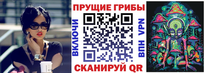 Псилоцибиновые грибы ЛСД  даркнет Telegram  Пустошка  где купить  